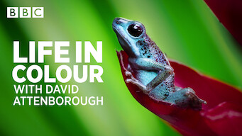 Life in Color with David Attenborough (2021)