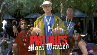 Malibu's Most Wanted (2003)